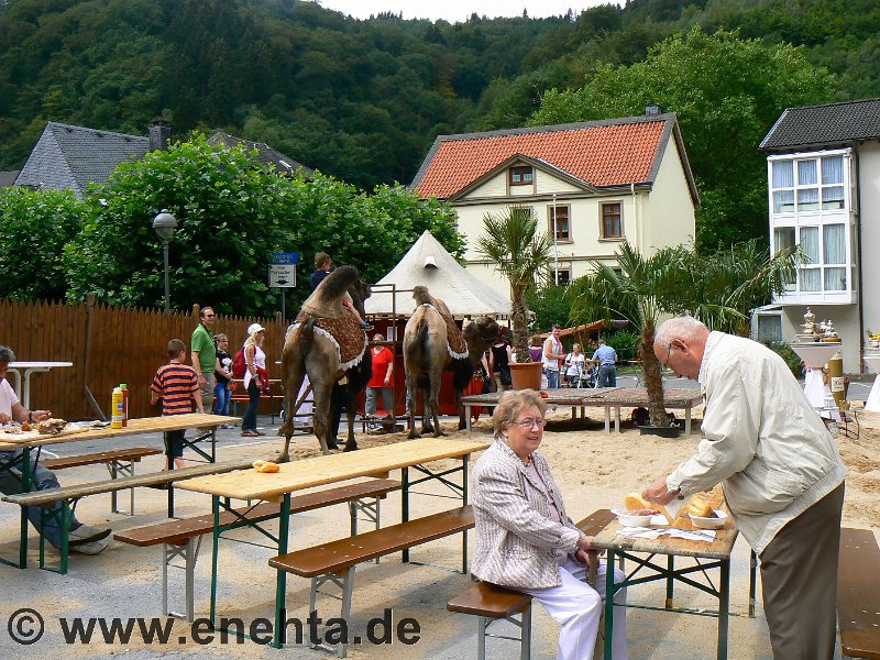 Mittelaltermark_Altena_2011 (173).jpg